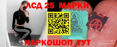 apvp Кингисепп