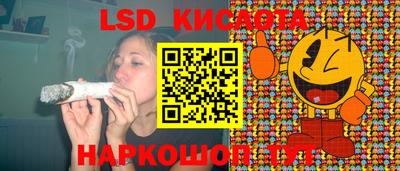 прущие грибы Кимры