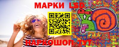 apvp Кингисепп