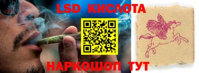 apvp Кингисепп