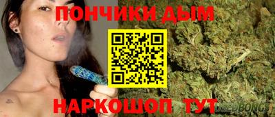 apvp Кингисепп