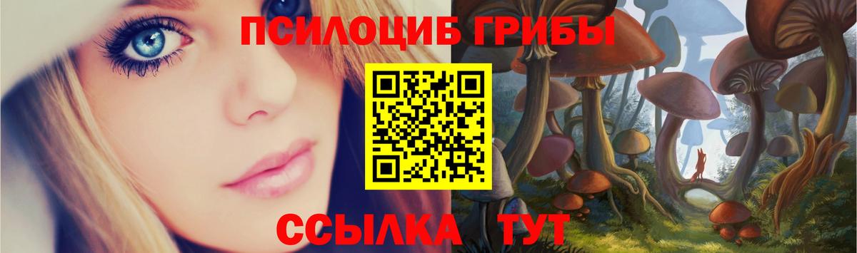 Лениногорск  Галлюциногенные грибы Cubensis  наркошоп  Вход с VPN 